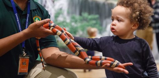 Toddler being hands on at The Brooklyn Children's Museum in Crown Heights.